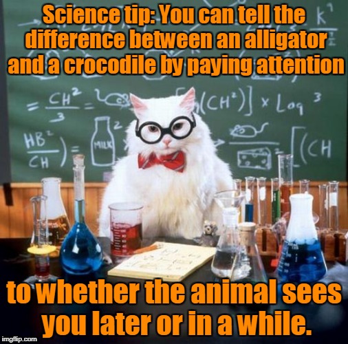 Chemistry Cat | Science tip: You can tell the difference between an alligator and a crocodile by paying attention; to whether the animal sees you later or in a while. | image tagged in memes,chemistry cat | made w/ Imgflip meme maker