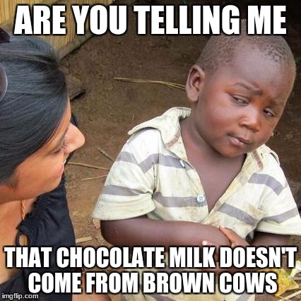 Third World Skeptical Kid Meme | ARE YOU TELLING ME; THAT CHOCOLATE MILK DOESN'T COME FROM BROWN COWS | image tagged in memes,third world skeptical kid | made w/ Imgflip meme maker