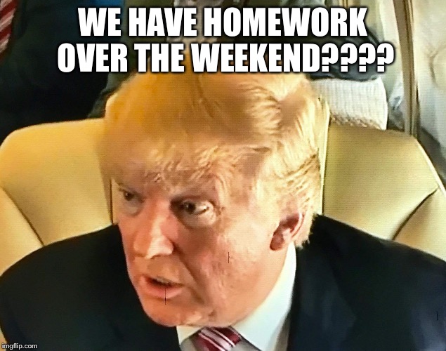 Not presidential | WE HAVE HOMEWORK OVER THE WEEKEND???? | image tagged in not presidential | made w/ Imgflip meme maker