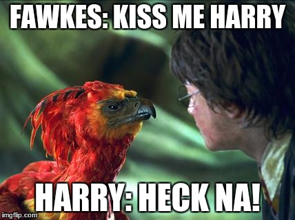 Phoenix Harry potter | FAWKES: KISS ME HARRY; HARRY: HECK NA! | image tagged in phoenix harry potter | made w/ Imgflip meme maker