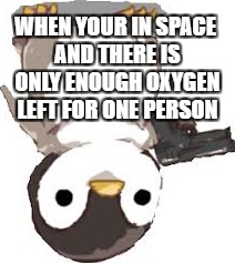 gun penguin | WHEN YOUR IN SPACE AND THERE IS ONLY ENOUGH OXYGEN LEFT FOR ONE PERSON | image tagged in gun penguin | made w/ Imgflip meme maker