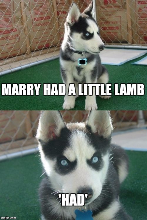 Insanity Puppy |  MARRY HAD A LITTLE LAMB; 'HAD' | image tagged in memes,insanity puppy | made w/ Imgflip meme maker