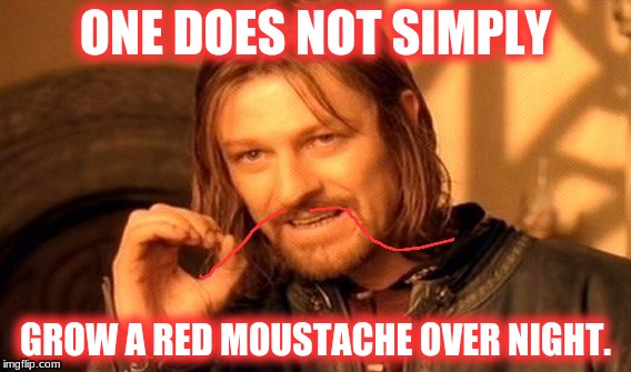 One Does Not Simply | ONE DOES NOT SIMPLY; GROW A RED MOUSTACHE OVER NIGHT. | image tagged in memes,one does not simply | made w/ Imgflip meme maker