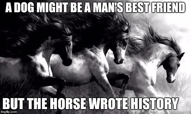 horses | A DOG MIGHT BE A MAN'S BEST FRIEND; BUT THE HORSE WROTE HISTORY | image tagged in horses | made w/ Imgflip meme maker