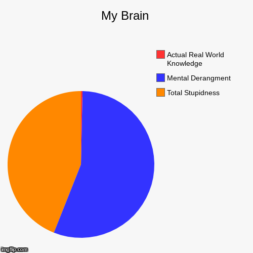 My Brain | image tagged in funny,pie charts,my brain | made w/ Imgflip chart maker