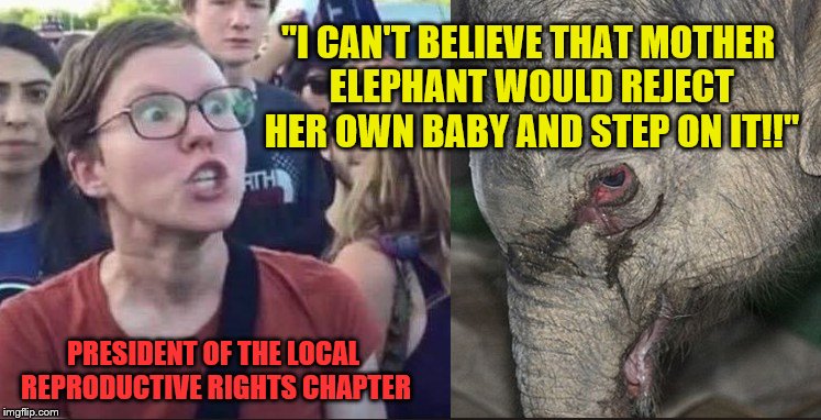 God's Object Lesson for Humanity |  "I CAN'T BELIEVE THAT MOTHER ELEPHANT WOULD REJECT HER OWN BABY AND STEP ON IT!!"; PRESIDENT OF THE LOCAL REPRODUCTIVE RIGHTS CHAPTER | image tagged in memes,pro life,baby elephant,liberal logic,maga | made w/ Imgflip meme maker