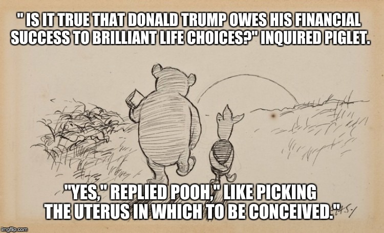 Pooh and Piglet | " IS IT TRUE THAT DONALD TRUMP OWES HIS FINANCIAL SUCCESS TO BRILLIANT LIFE CHOICES?" INQUIRED PIGLET. "YES," REPLIED POOH," LIKE PICKING THE UTERUS IN WHICH TO BE CONCEIVED." | image tagged in pooh and piglet | made w/ Imgflip meme maker