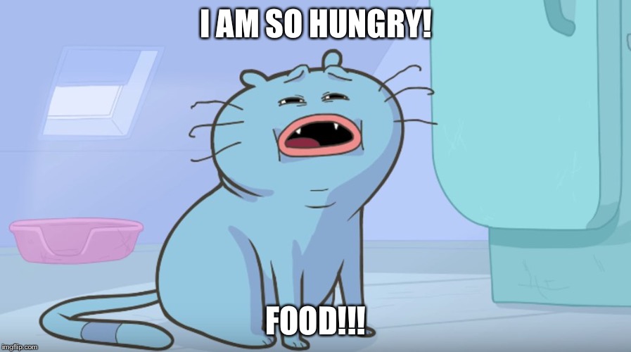 food | I AM SO HUNGRY! FOOD!!! | image tagged in krols,food,stupid,nl,cats,cat | made w/ Imgflip meme maker
