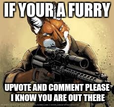 furry finder | IF YOUR A FURRY; UPVOTE AND COMMENT PLEASE I KNOW YOU ARE OUT THERE | image tagged in furry | made w/ Imgflip meme maker