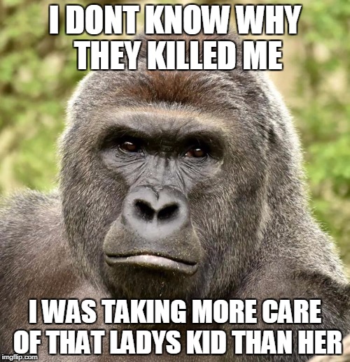 Har | I DONT KNOW WHY THEY KILLED ME; I WAS TAKING MORE CARE OF THAT LADYS KID THAN HER | image tagged in har | made w/ Imgflip meme maker