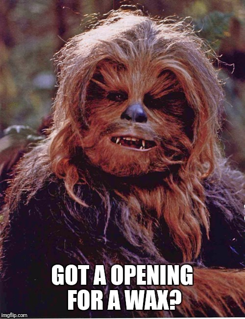 Chewbacca | GOT A OPENING FOR A WAX? | image tagged in chewbacca | made w/ Imgflip meme maker