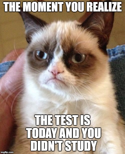 Grumpy Cat Meme | THE MOMENT YOU REALIZE; THE TEST IS TODAY AND YOU DIDN'T STUDY | image tagged in memes,grumpy cat | made w/ Imgflip meme maker