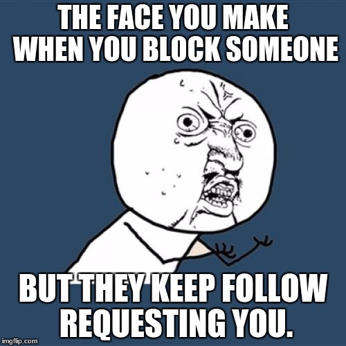 Y U No Meme | THE FACE YOU MAKE WHEN YOU BLOCK SOMEONE; BUT THEY KEEP FOLLOW REQUESTING YOU. | image tagged in memes,y u no | made w/ Imgflip meme maker