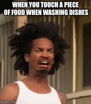 Disgusted Face | WHEN YOU TOUCH A PIECE OF FOOD WHEN WASHING DISHES | image tagged in disgusted face | made w/ Imgflip meme maker