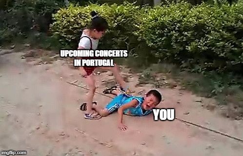 fight | UPCOMING CONCERTS IN PORTUGAL; YOU | image tagged in fight | made w/ Imgflip meme maker
