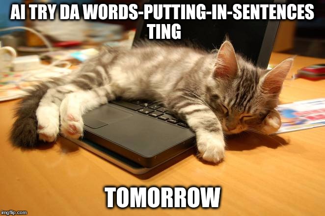 AI TRY DA WORDS-PUTTING-IN-SENTENCES TING; TOMORROW | image tagged in cat,computer,writing | made w/ Imgflip meme maker