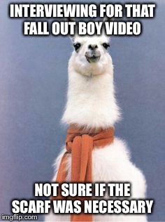 sassy llama | INTERVIEWING FOR THAT FALL OUT BOY VIDEO; NOT SURE IF THE SCARF WAS NECESSARY | image tagged in sassy llama | made w/ Imgflip meme maker