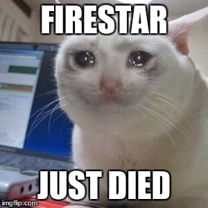 Firestar Just Died | FIRESTAR; JUST DIED | image tagged in crying cat,warrior cats | made w/ Imgflip meme maker