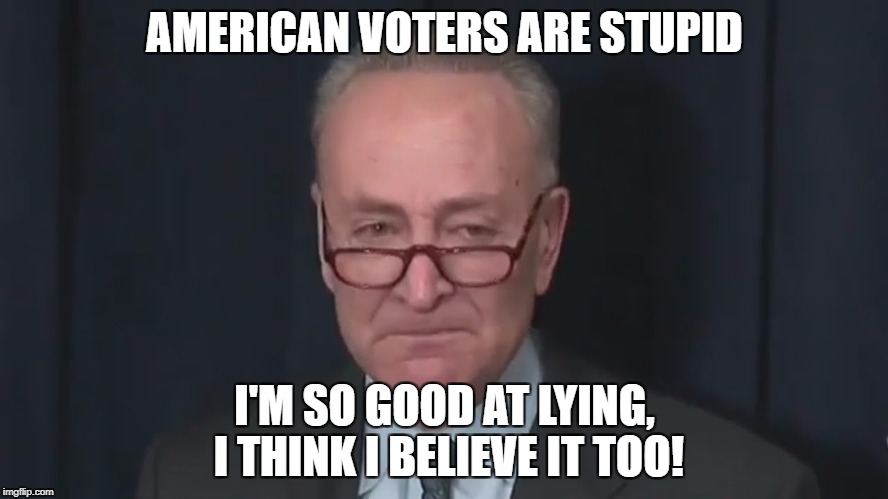 Chuck Schumer Crying | AMERICAN VOTERS ARE STUPID; I'M SO GOOD AT LYING, I THINK I BELIEVE IT TOO! | image tagged in chuck schumer crying | made w/ Imgflip meme maker