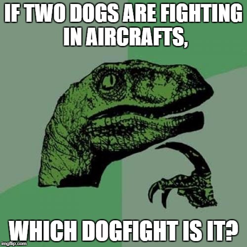 Philosoraptor Meme | IF TWO DOGS ARE FIGHTING IN AIRCRAFTS, WHICH DOGFIGHT IS IT? | image tagged in memes,philosoraptor | made w/ Imgflip meme maker