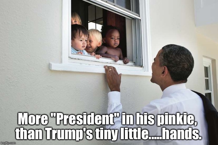 More "President" in his pinkie, than Trump's tiny little.....hands. | image tagged in memes,donald trump,obama,lol | made w/ Imgflip meme maker