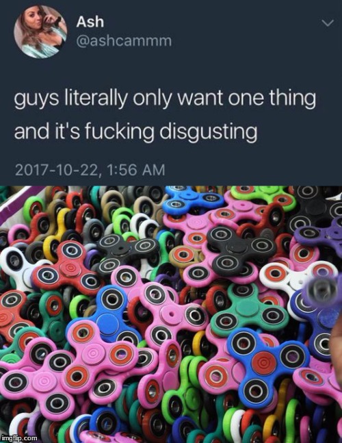 Guys Only Want One Thing | image tagged in fidget spinner,meme,why am i doing this,spicy | made w/ Imgflip meme maker