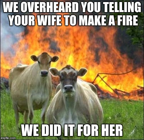 Evil Cows Meme | WE OVERHEARD YOU TELLING YOUR WIFE TO MAKE A FIRE; WE DID IT FOR HER | image tagged in memes,evil cows | made w/ Imgflip meme maker