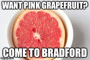 Grapefruit | WANT PINK GRAPEFRUIT? COME TO BRADFORD | image tagged in fruit | made w/ Imgflip meme maker
