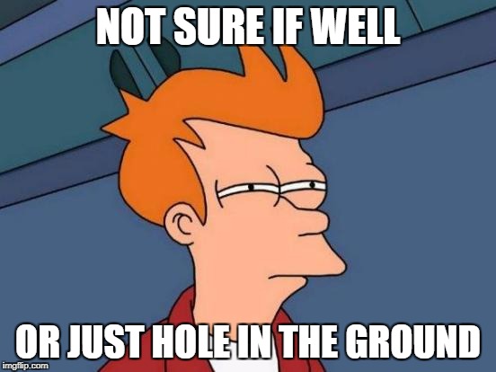 Futurama Fry Meme | NOT SURE IF WELL OR JUST HOLE IN THE GROUND | image tagged in memes,futurama fry | made w/ Imgflip meme maker