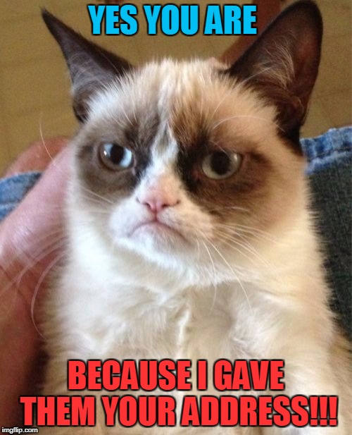 Grumpy Cat Meme | YES YOU ARE BECAUSE I GAVE THEM YOUR ADDRESS!!! | image tagged in memes,grumpy cat | made w/ Imgflip meme maker