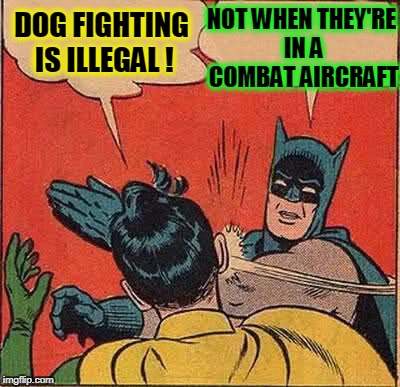 Batman Slapping Robin Meme | DOG FIGHTING IS ILLEGAL ! NOT WHEN THEY'RE IN A COMBAT AIRCRAFT | image tagged in memes,batman slapping robin | made w/ Imgflip meme maker