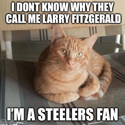 I DONT KNOW WHY THEY CALL ME LARRY FITZGERALD; I’M A STEELERS FAN | image tagged in larry fitzgerald | made w/ Imgflip meme maker