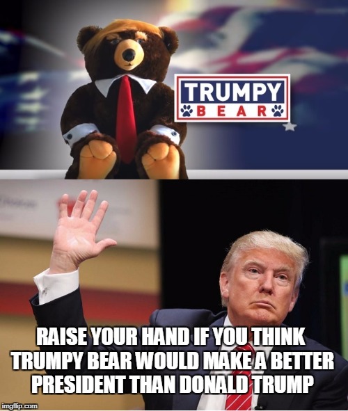 Trumpy Bear for President | RAISE YOUR HAND IF YOU THINK TRUMPY BEAR WOULD MAKE A BETTER PRESIDENT THAN DONALD TRUMP | image tagged in donald trump,trump,teddy bear | made w/ Imgflip meme maker