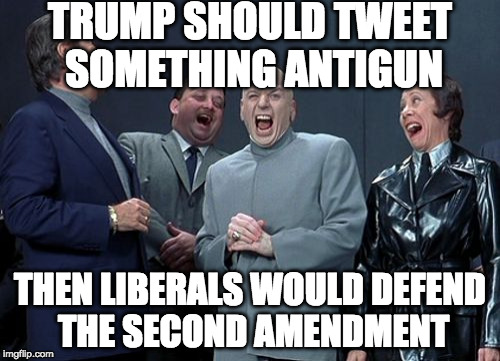 A million tweets. | TRUMP SHOULD TWEET SOMETHING ANTIGUN; THEN LIBERALS WOULD DEFEND THE SECOND AMENDMENT | image tagged in memes,laughing villains,donald trump,2nd amendment,gun control,liberals | made w/ Imgflip meme maker