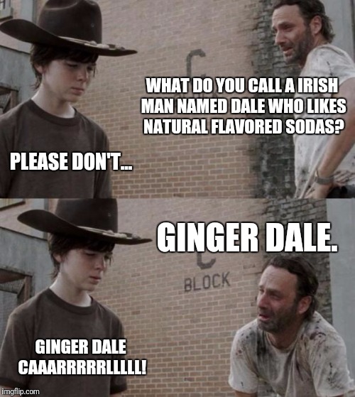 Rick and Carl | WHAT DO YOU CALL A IRISH MAN NAMED DALE WHO LIKES NATURAL FLAVORED SODAS? PLEASE DON'T... GINGER DALE. GINGER DALE CAAARRRRRLLLLL! | image tagged in memes,rick and carl | made w/ Imgflip meme maker