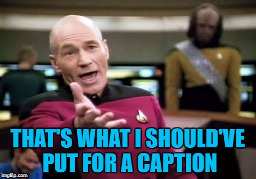 Picard Wtf Meme | THAT'S WHAT I SHOULD'VE PUT FOR A CAPTION | image tagged in memes,picard wtf | made w/ Imgflip meme maker
