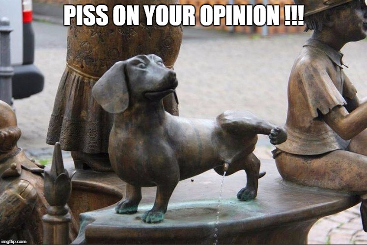 PISS ON YOUR OPINION !!! | image tagged in piss | made w/ Imgflip meme maker