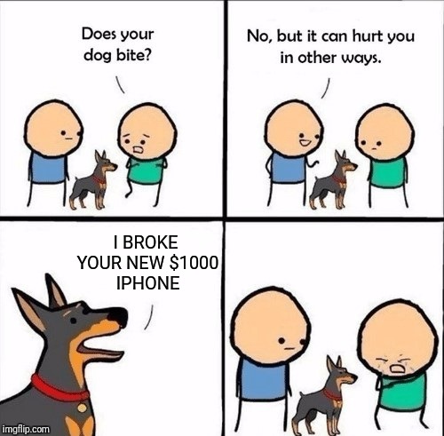 does your dog bite | I BROKE YOUR NEW $1000 IPHONE | image tagged in does your dog bite | made w/ Imgflip meme maker