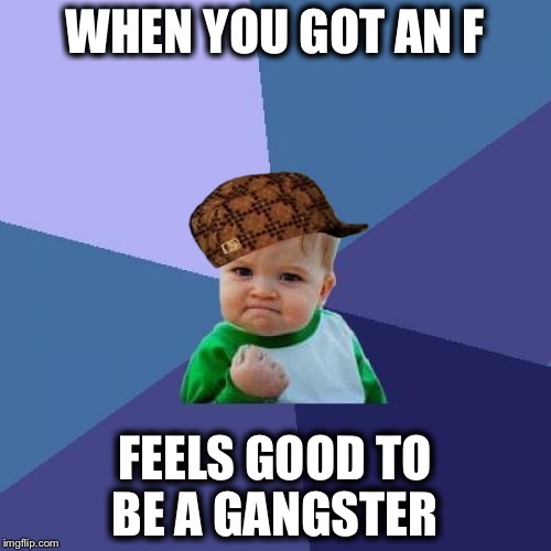 Success Kid Meme | WHEN YOU GOT AN F; FEELS GOOD TO BE A GANGSTER | image tagged in memes,success kid,scumbag | made w/ Imgflip meme maker