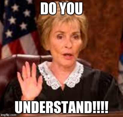 DO YOU; UNDERSTAND!!!! | image tagged in judge judy | made w/ Imgflip meme maker