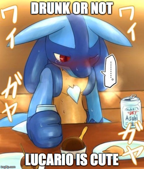 The Truth About Lucario | DRUNK OR NOT; LUCARIO IS CUTE | image tagged in lucario,pokemon,memes | made w/ Imgflip meme maker