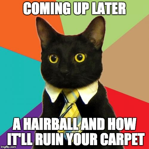 6 O'Clock Meowsman | COMING UP LATER; A HAIRBALL AND HOW IT'LL RUIN YOUR CARPET | image tagged in memes,business cat | made w/ Imgflip meme maker