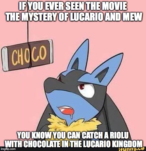 Catching a Riolu | IF YOU EVER SEEN THE MOVIE THE MYSTERY OF LUCARIO AND MEW; YOU KNOW YOU CAN CATCH A RIOLU WITH CHOCOLATE IN THE LUCARIO KINGDOM | image tagged in lucario,chocolate,memes,pokemon,riolu | made w/ Imgflip meme maker