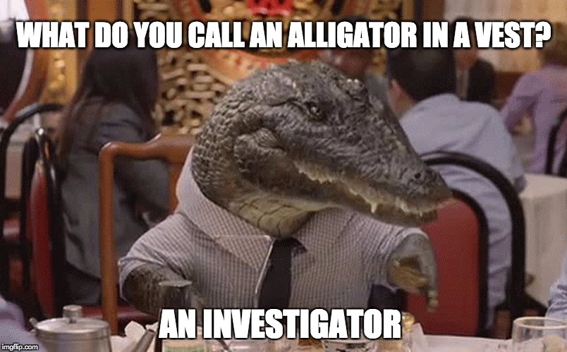 Geico Alligator Arms | WHAT DO YOU CALL AN ALLIGATOR IN A VEST? AN INVESTIGATOR | image tagged in geico alligator arms | made w/ Imgflip meme maker