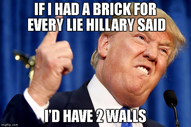 Donald Trump | IF I HAD A BRICK FOR EVERY LIE HILLARY SAID; I'D HAVE 2 WALLS | image tagged in donald trump | made w/ Imgflip meme maker