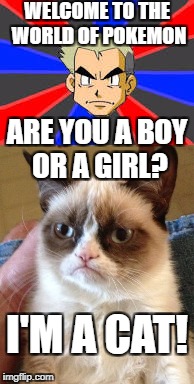WELCOME TO THE WORLD OF POKEMON ARE YOU A BOY OR A GIRL? I'M A CAT! | made w/ Imgflip meme maker