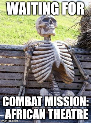 Waiting Skeleton Meme | WAITING FOR; COMBAT MISSION: AFRICAN THEATRE | image tagged in memes,waiting skeleton | made w/ Imgflip meme maker