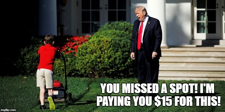 You're fired! | YOU MISSED A SPOT! I'M PAYING YOU $15 FOR THIS! | image tagged in memes,donald trump,white house,lawnmower | made w/ Imgflip meme maker
