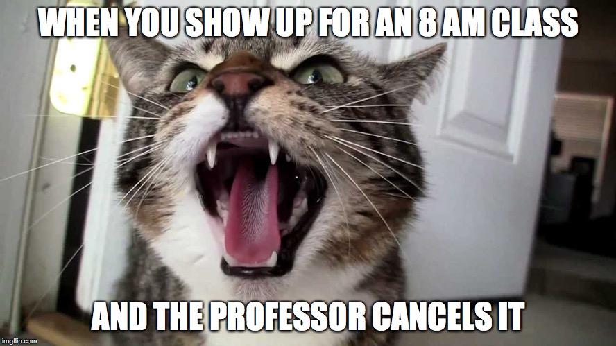 WHEN YOU SHOW UP FOR AN 8 AM CLASS; AND THE PROFESSOR CANCELS IT | image tagged in school,university,students,8amclass,class,8am | made w/ Imgflip meme maker