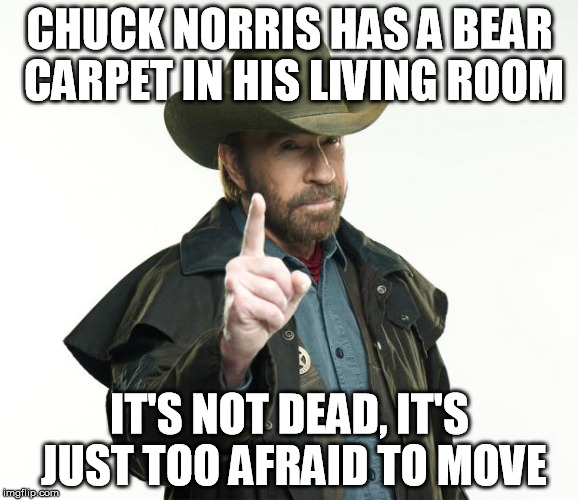 Chuck Norris Finger | CHUCK NORRIS HAS A BEAR CARPET IN HIS LIVING ROOM; IT'S NOT DEAD, IT'S JUST TOO AFRAID TO MOVE | image tagged in memes,chuck norris finger,chuck norris | made w/ Imgflip meme maker